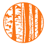 b.KIDS Logo